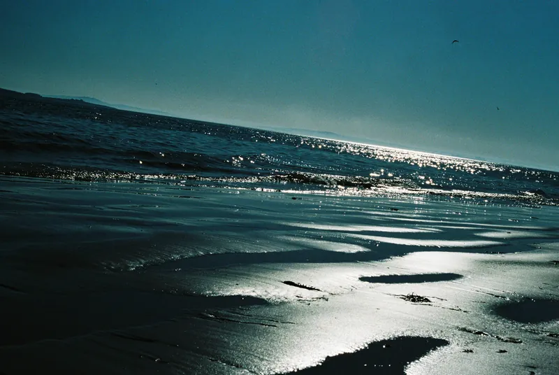 35mm landscape photograph by Alex Daniels