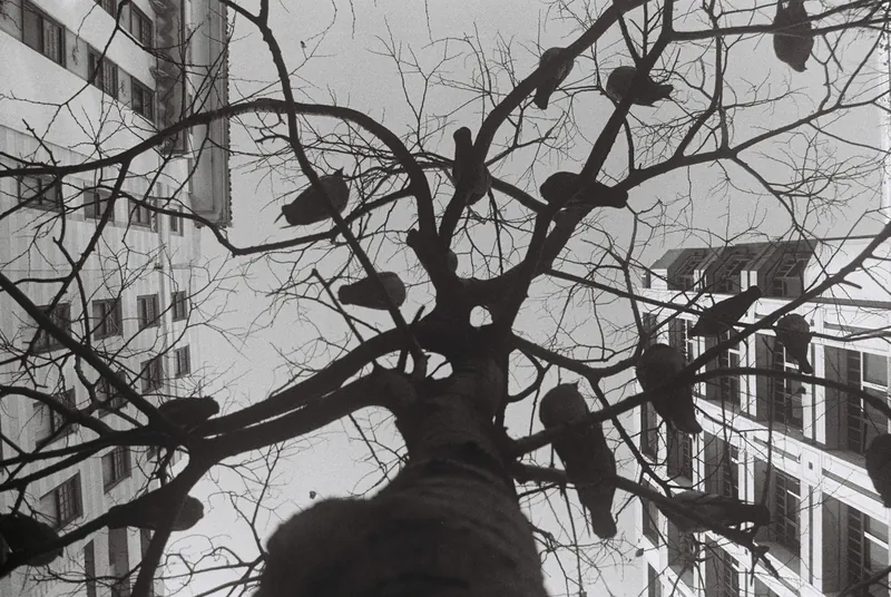 35mm landscape photograph by Alex Daniels